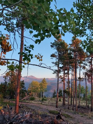 000 Frank C, Idaho Springs, CO 80452