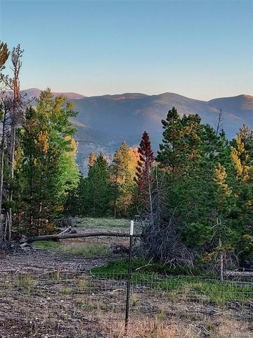 000 Frank C, Idaho Springs, CO 80452