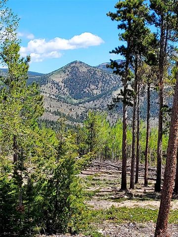 000 Frank C, Idaho Springs, CO 80452