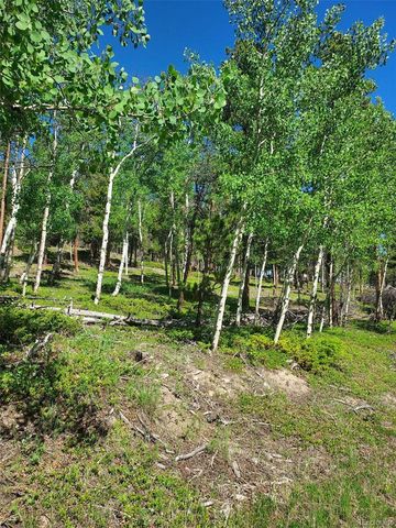 000 Frank C, Idaho Springs, CO 80452