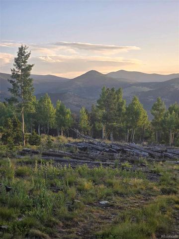 000 Frank C, Idaho Springs, CO 80452