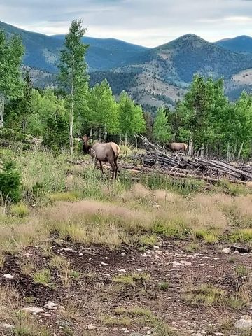 000 Frank C, Idaho Springs, CO 80452