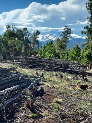 000 Frank C, Idaho Springs, CO 80452