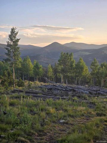 000 Frank C, Idaho Springs, CO 80452