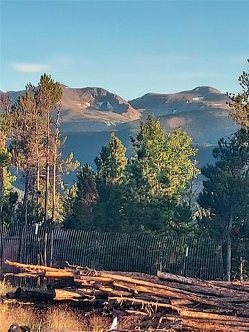 000 Frank C, Idaho Springs, CO 80452
