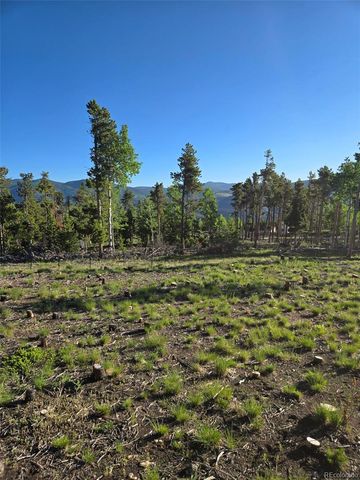 000 Frank C, Idaho Springs, CO 80452