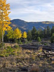000 Frank C, Idaho Springs, CO 80452