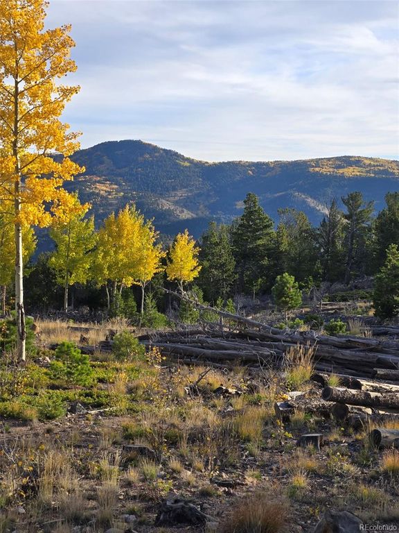 000 Frank C, Idaho Springs, CO 80452