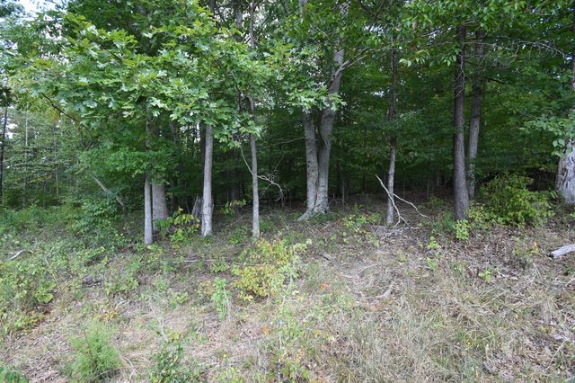 0 Moore Hollow Rd, S, Indian Mound, TN 37079
