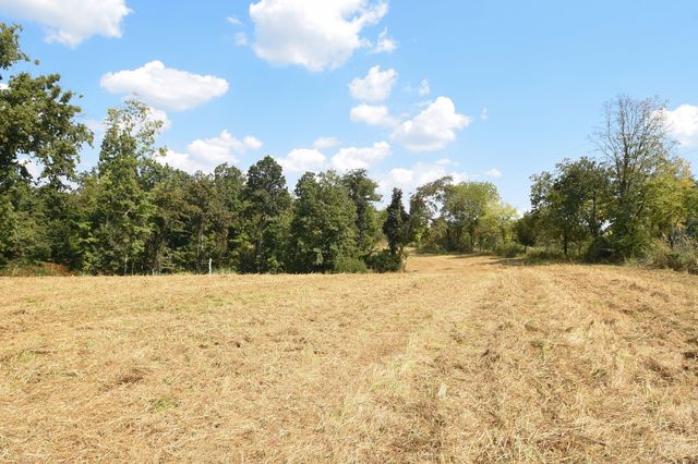 0 Moore Hollow Rd, S, Indian Mound, TN 37079