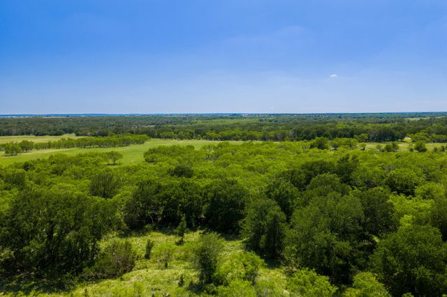TBD County Road 180 Covered Meadows Ranch RD, Purmela, TX 76566