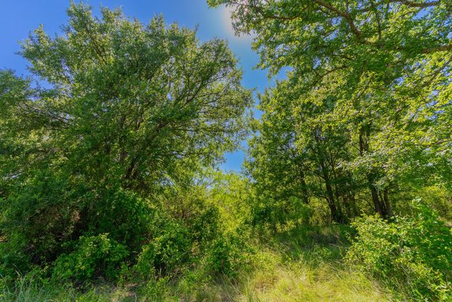 TBD County Road 180 Covered Meadows Ranch RD, Purmela, TX 76566