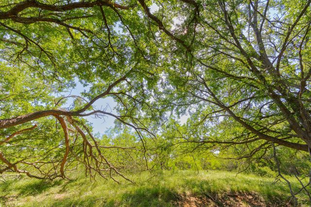 TBD County Road 180 Covered Meadows Ranch RD, Purmela, TX 76566