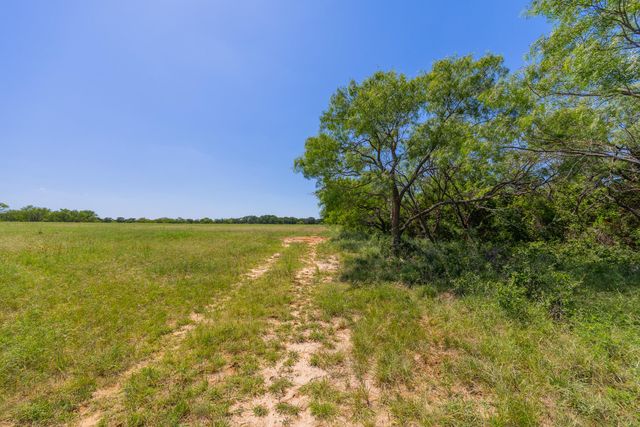 TBD County Road 180 Covered Meadows Ranch RD, Purmela, TX 76566