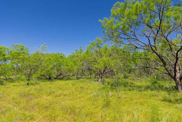 TBD County Road 180 Covered Meadows Ranch RD, Purmela, TX 76566