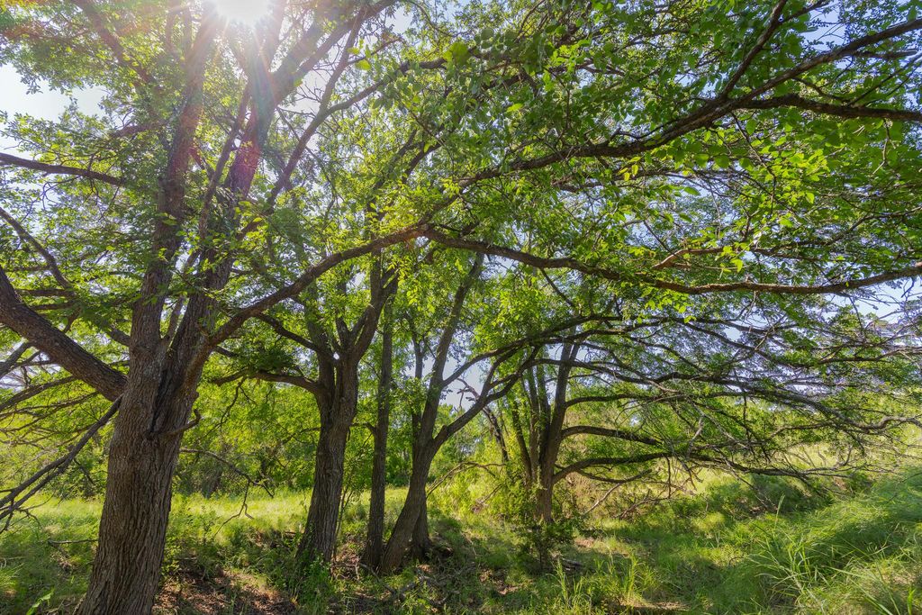 TBD County Road 180 Covered Meadows Ranch RD, Purmela, TX 76566