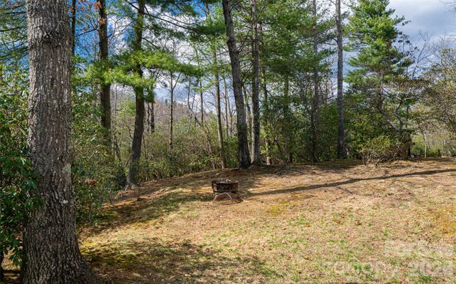 82 Red Mulberry Drive, Zirconia, NC 28790