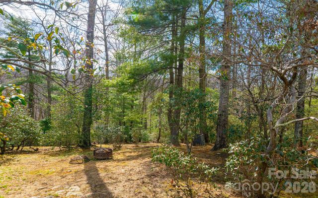 82 Red Mulberry Drive, Zirconia, NC 28790