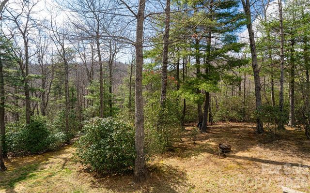 82 Red Mulberry Drive, Zirconia, NC 28790