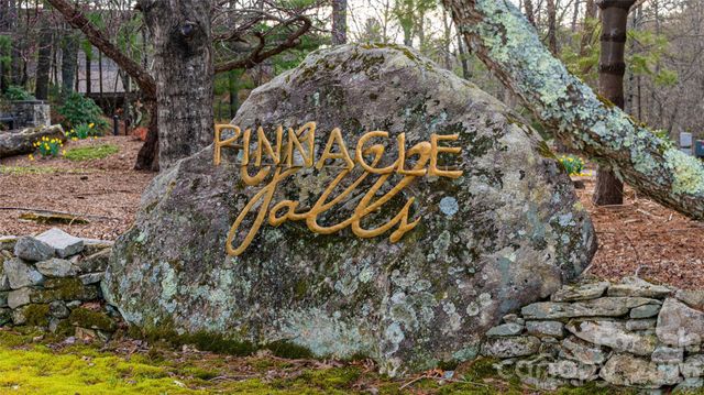 82 Red Mulberry Drive, Zirconia, NC 28790