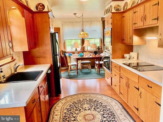 227 LOWRY RD, New Holland, PA 17557