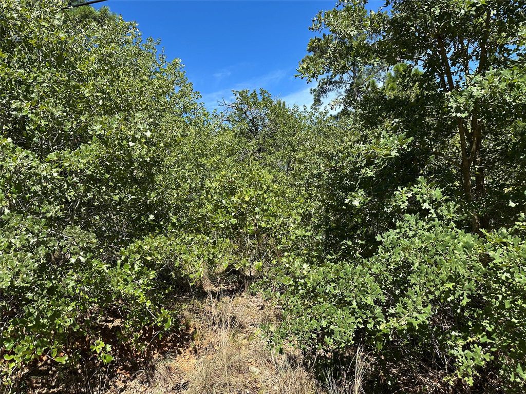 TBD N. Pahihi DR, Bastrop, TX 78602