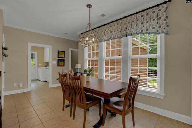 126 Pebblebranch Drive, Chapin, SC 29036