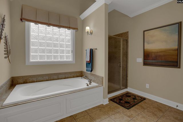 126 Pebblebranch Drive, Chapin, SC 29036