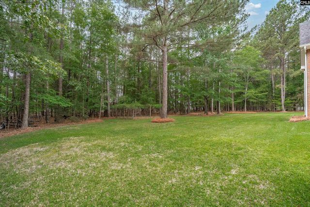 126 Pebblebranch Drive, Chapin, SC 29036
