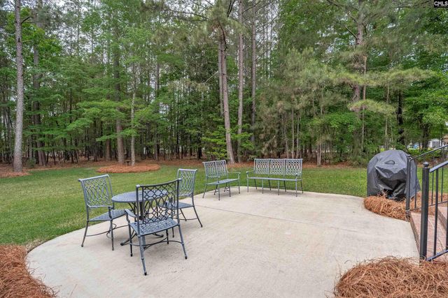 126 Pebblebranch Drive, Chapin, SC 29036