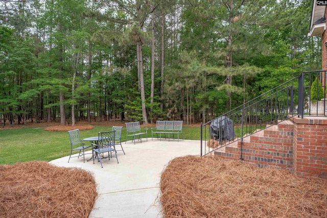 126 Pebblebranch Drive, Chapin, SC 29036