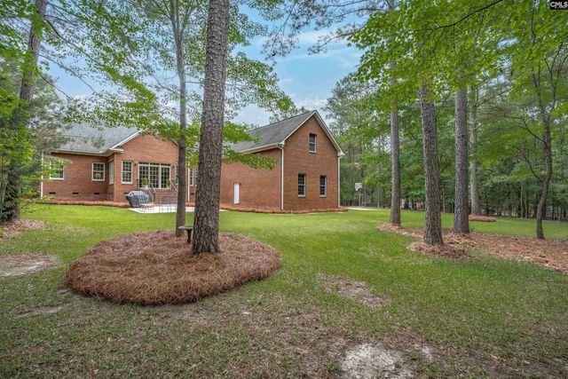 126 Pebblebranch Drive, Chapin, SC 29036