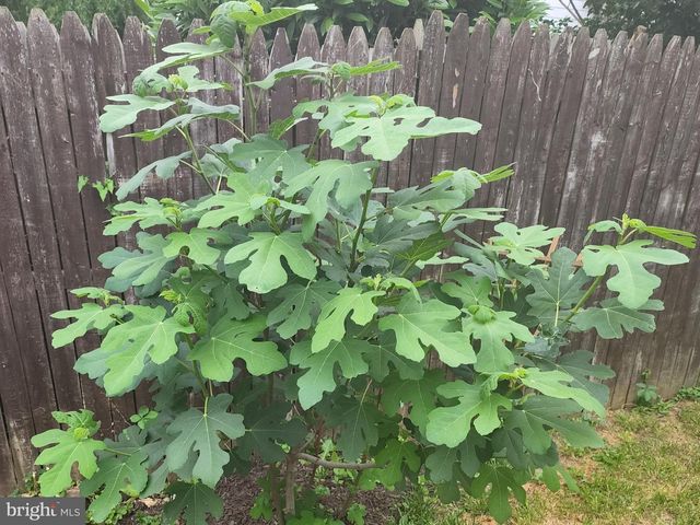 431 E ORANGE ST, Lancaster, PA 17602