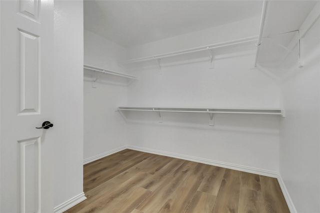 8016 Springmoss Drive, Plano, TX 75025