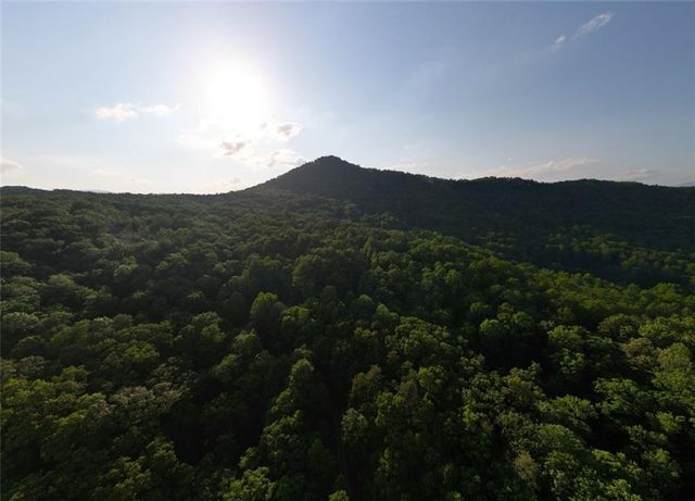 82 Walnut Grove Lane, Tiger, GA 30576