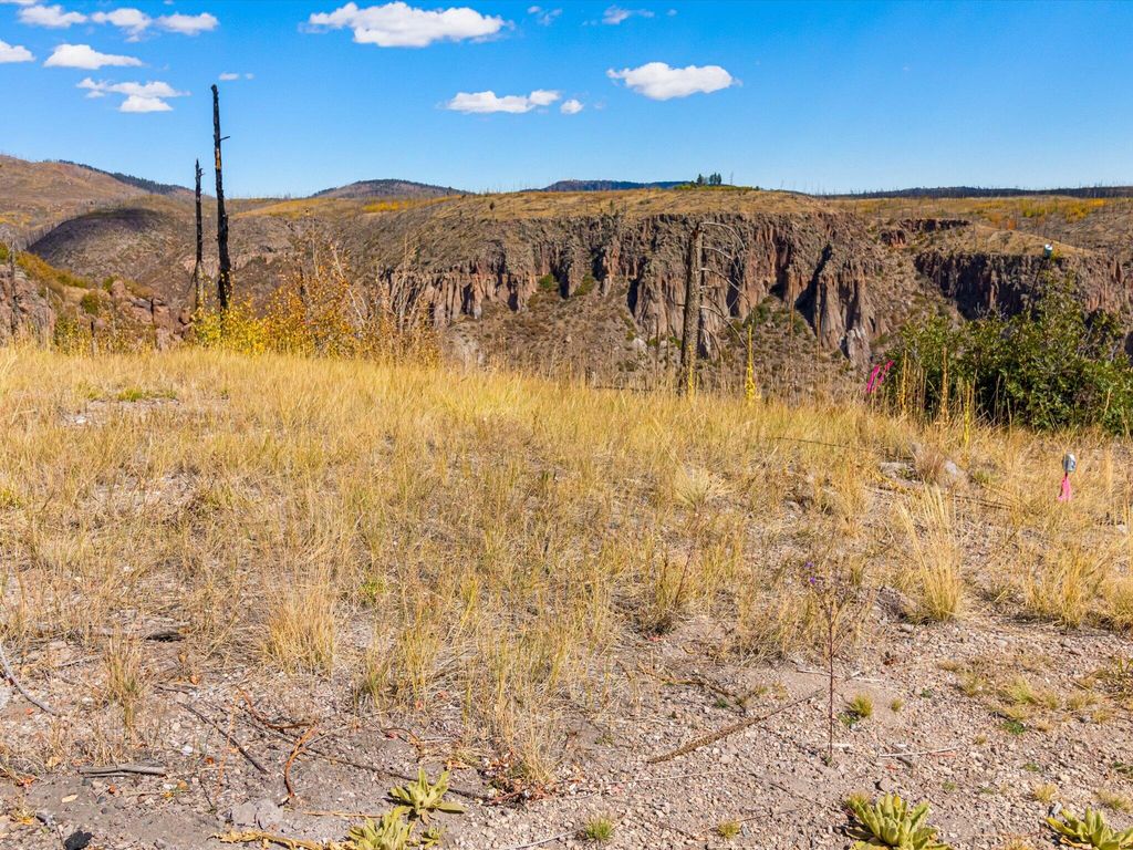 Image 28 of property listing at 995 FOREST RD 268 Road, Jemez Springs, NM 87025