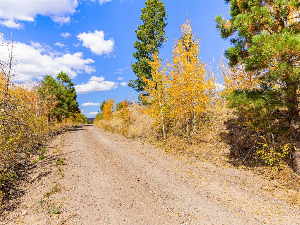 Image 29 of property listing at 995 FOREST RD 268 Road, Jemez Springs, NM 87025