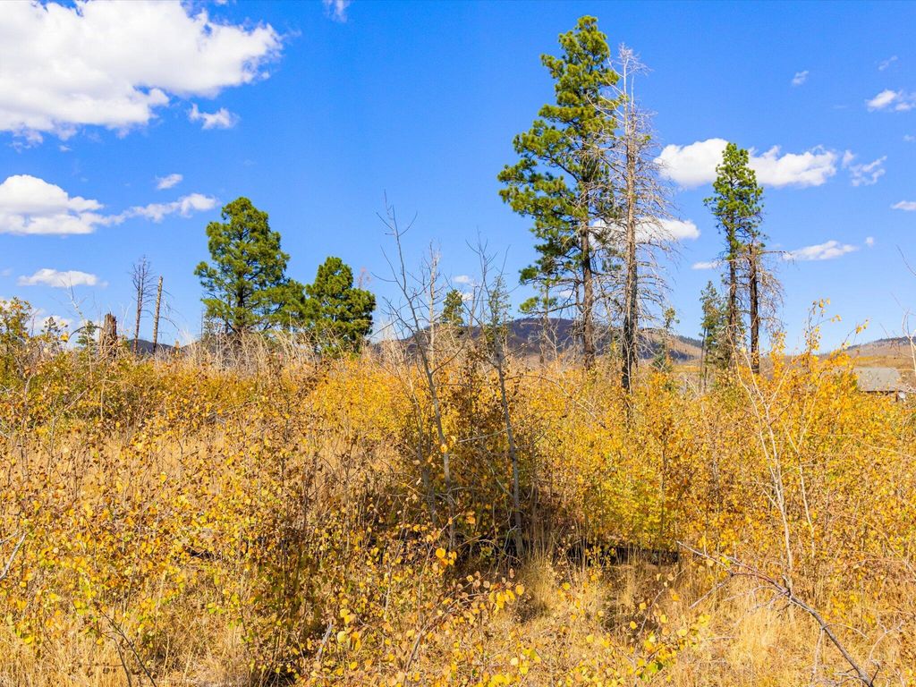 Image 30 of property listing at 995 FOREST RD 268 Road, Jemez Springs, NM 87025