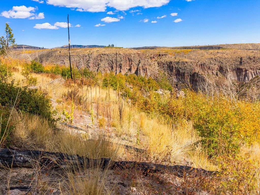 Image 33 of property listing at 995 FOREST RD 268 Road, Jemez Springs, NM 87025