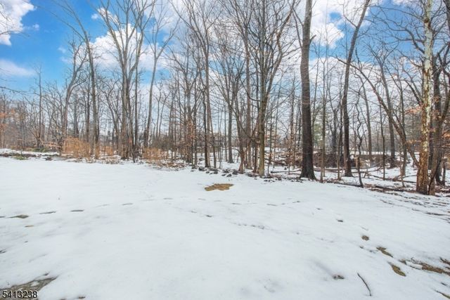 5 Pin Oak Rd, West Caldwell Twp., NJ 07006