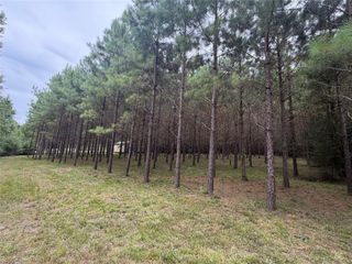 00 Cody Road, Livingston, TX 77351