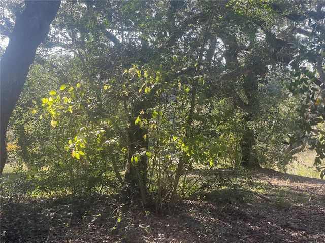 341 Cr 355, Elmaton, TX 77440