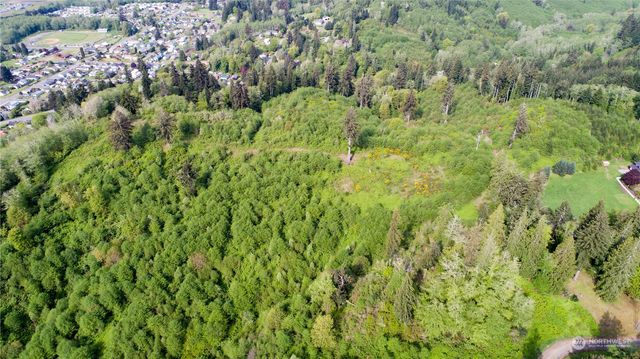 1111 Washington Cemetery Road, Raymond, WA 98577