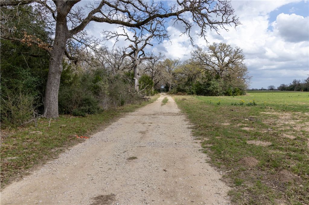 10100 Ferrill Creek Rd, Bryan, TX 77808 — photo 4
