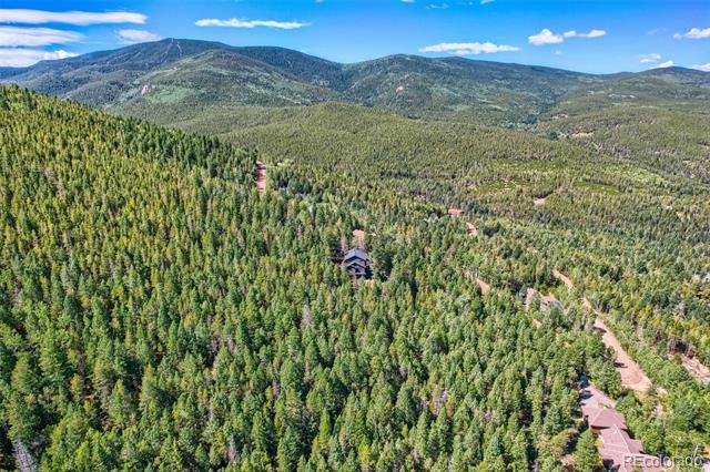 8352 Martin Lane, Conifer, CO 80433