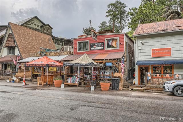 8352 Martin Lane, Conifer, CO 80433