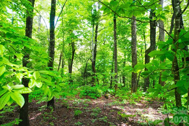 215 Laurel Mountain Trail 10, Black Mountain, NC 28711