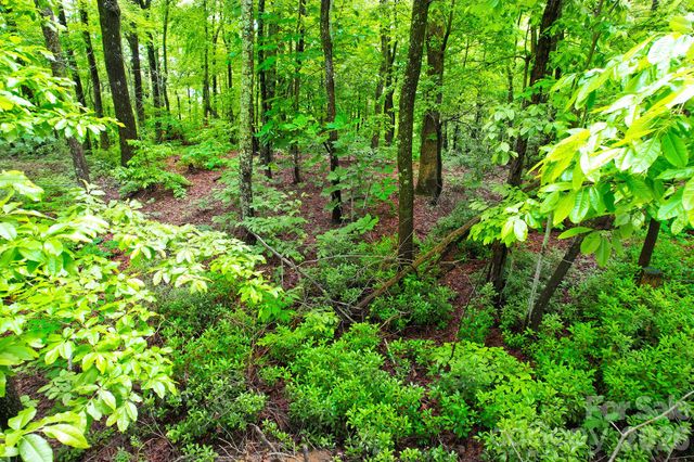 215 Laurel Mountain Trail 10, Black Mountain, NC 28711