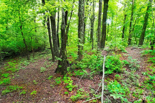 215 Laurel Mountain Trail 10, Black Mountain, NC 28711