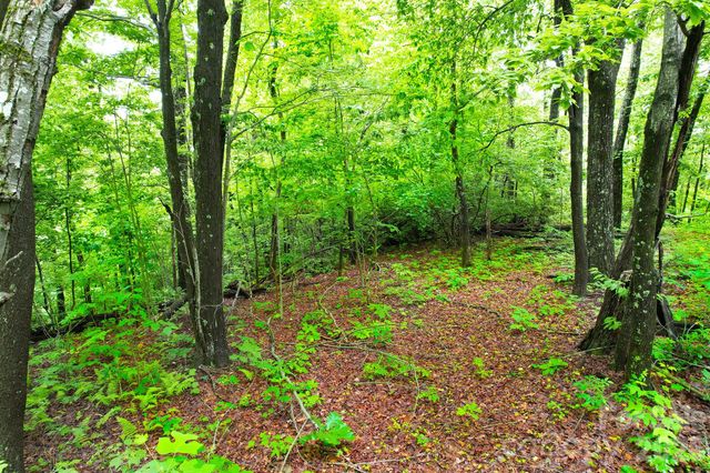 215 Laurel Mountain Trail 10, Black Mountain, NC 28711